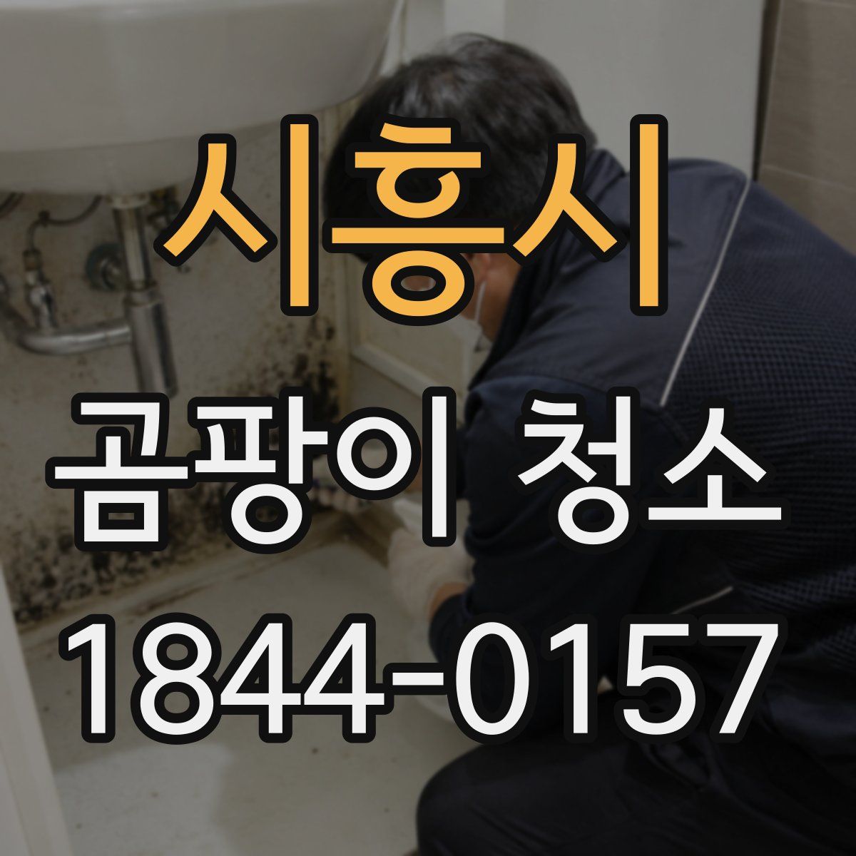 시흥시 곰팡이 청소