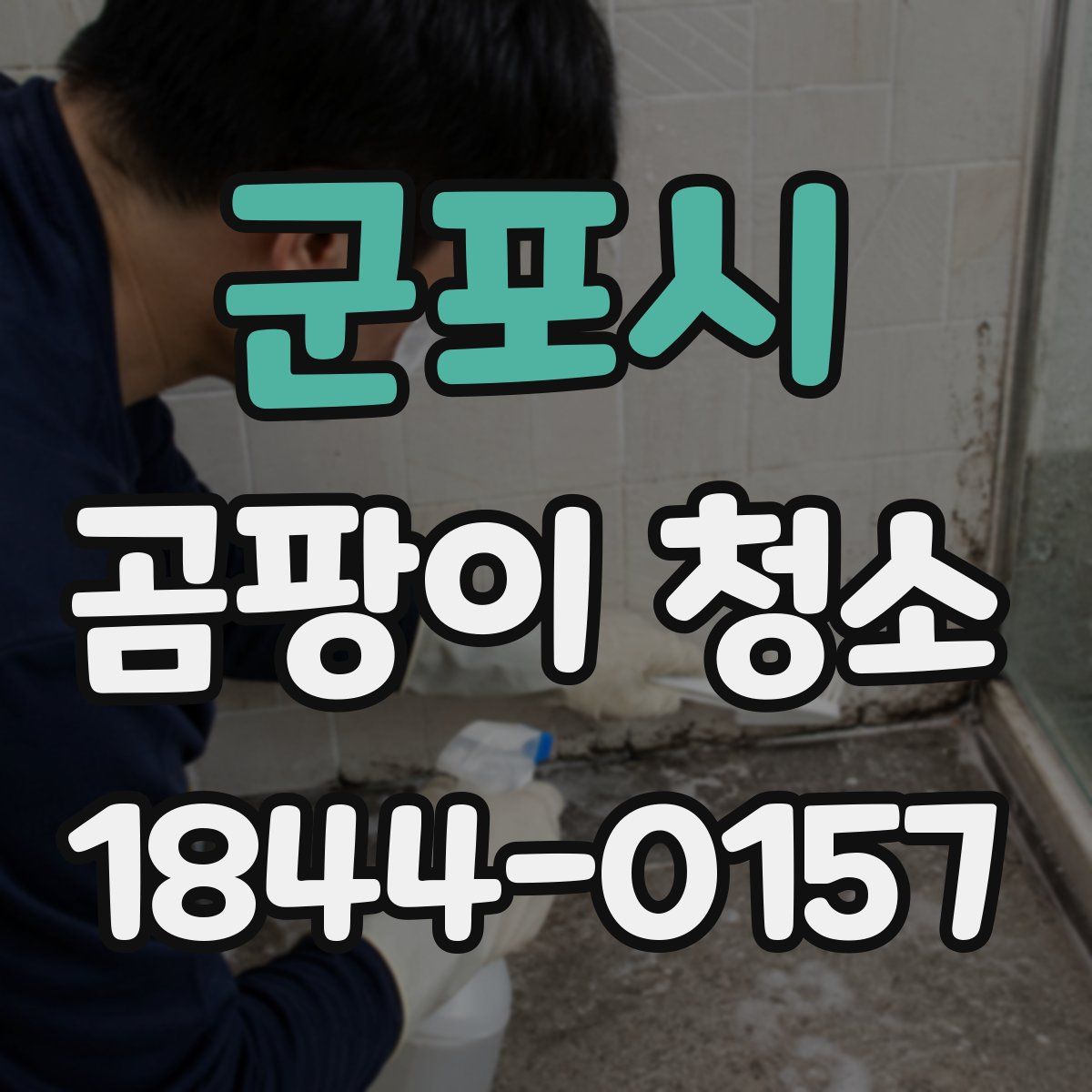 군포시 곰팡이 청소