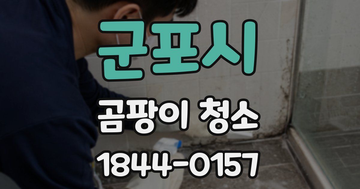 군포시 곰팡이 청소