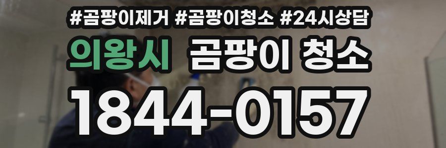 의왕시 곰팡이 청소