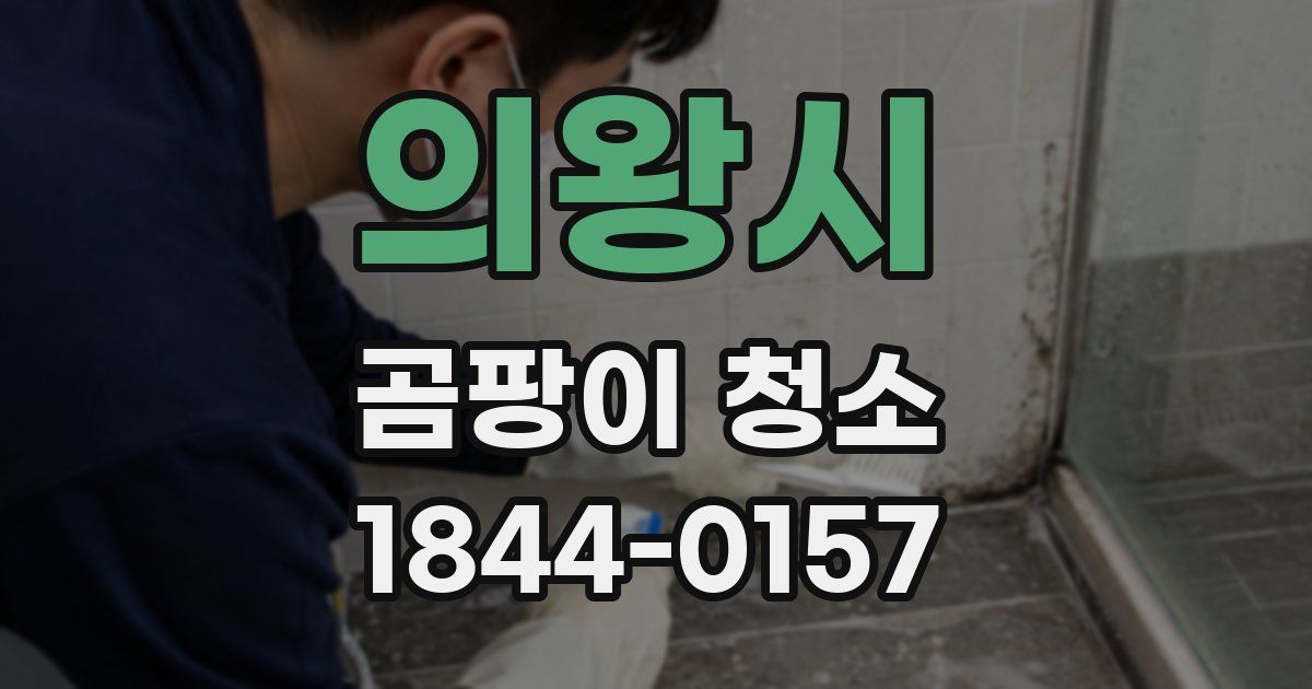 의왕시 곰팡이 청소