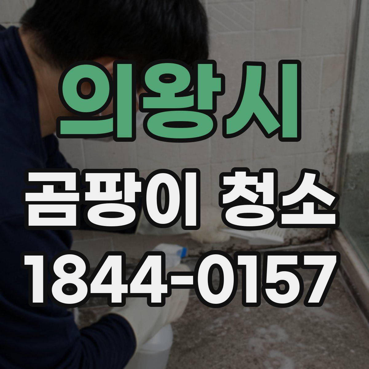 의왕시 곰팡이 청소