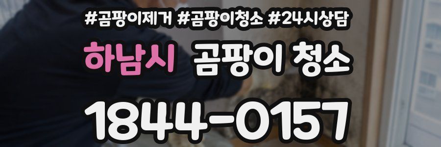 하남시 곰팡이 청소
