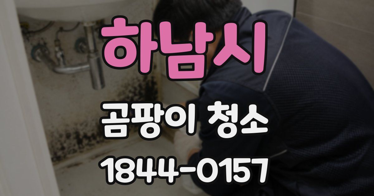 하남시 곰팡이 청소