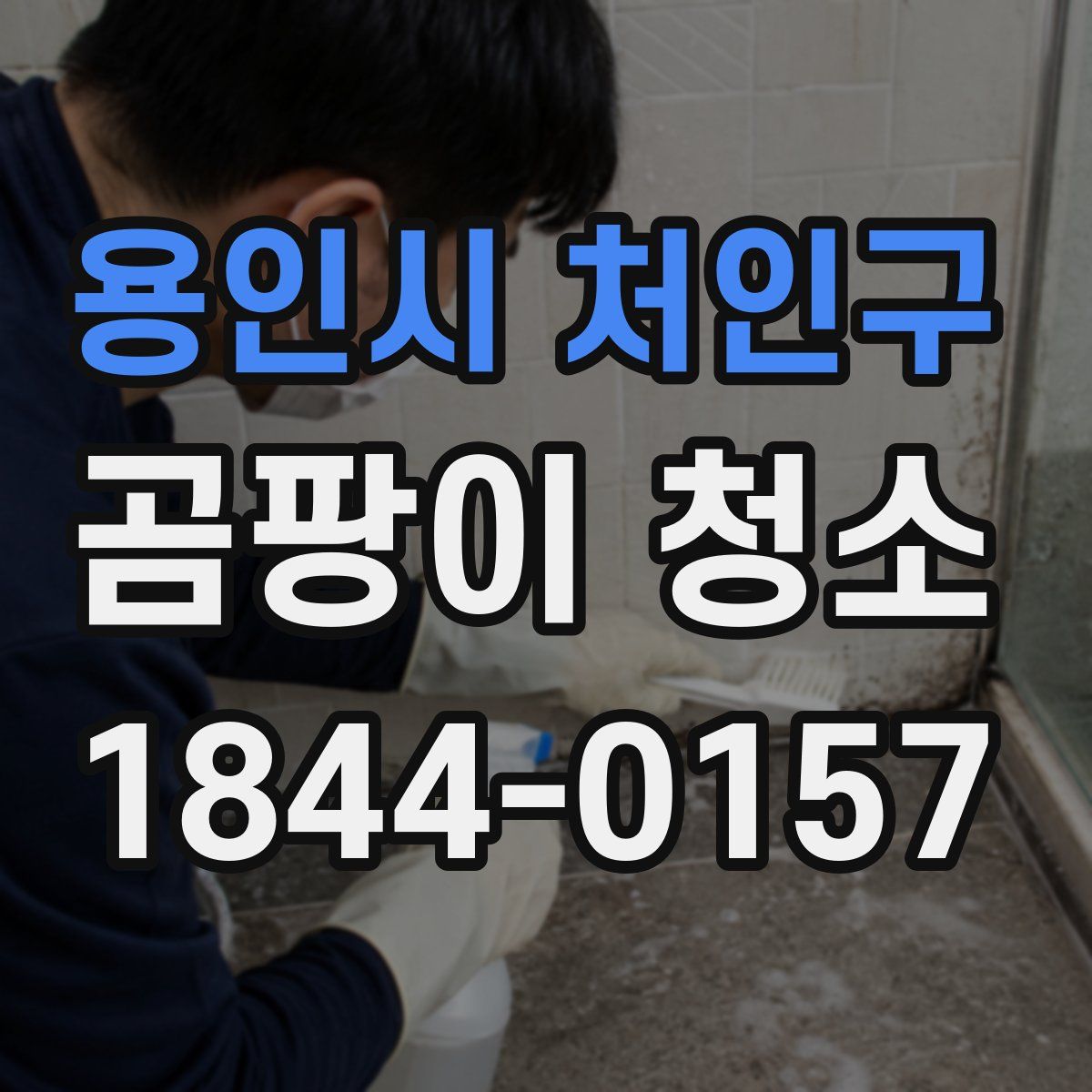 용인시 처인구 곰팡이 청소