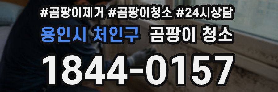용인시 처인구 곰팡이 청소