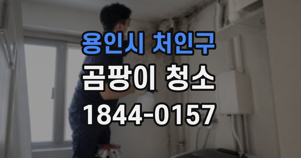 용인시 처인구 곰팡이 청소