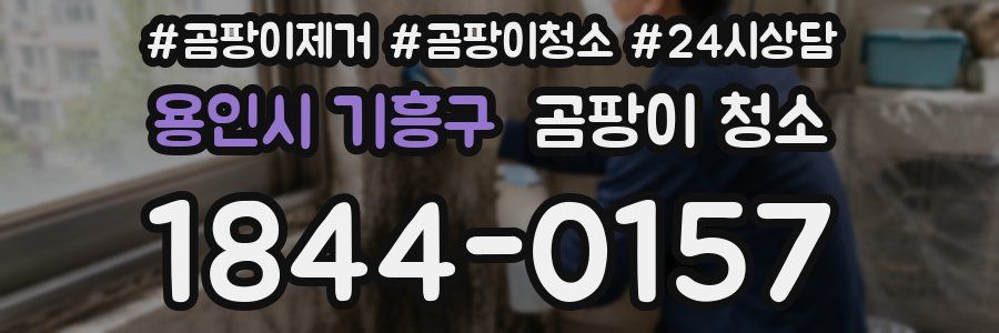 용인시 기흥구 곰팡이 청소
