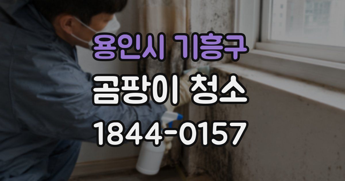 용인시 기흥구 곰팡이 청소