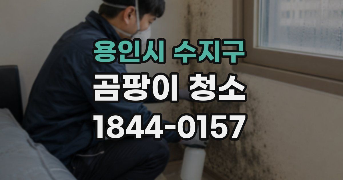용인시 수지구 곰팡이 청소