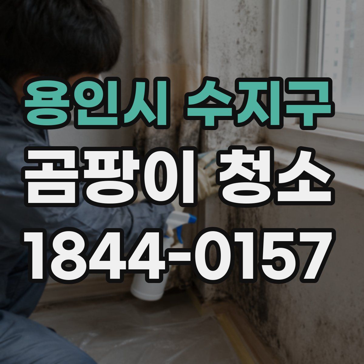 용인시 수지구 곰팡이 청소