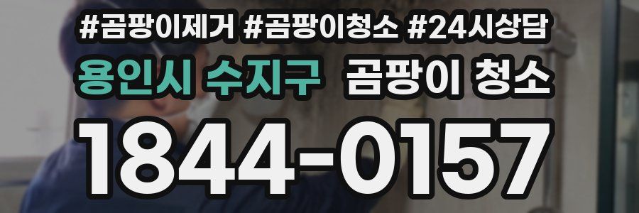 용인시 수지구 곰팡이 청소