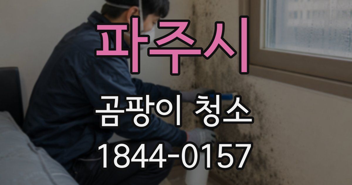 파주시 곰팡이 청소