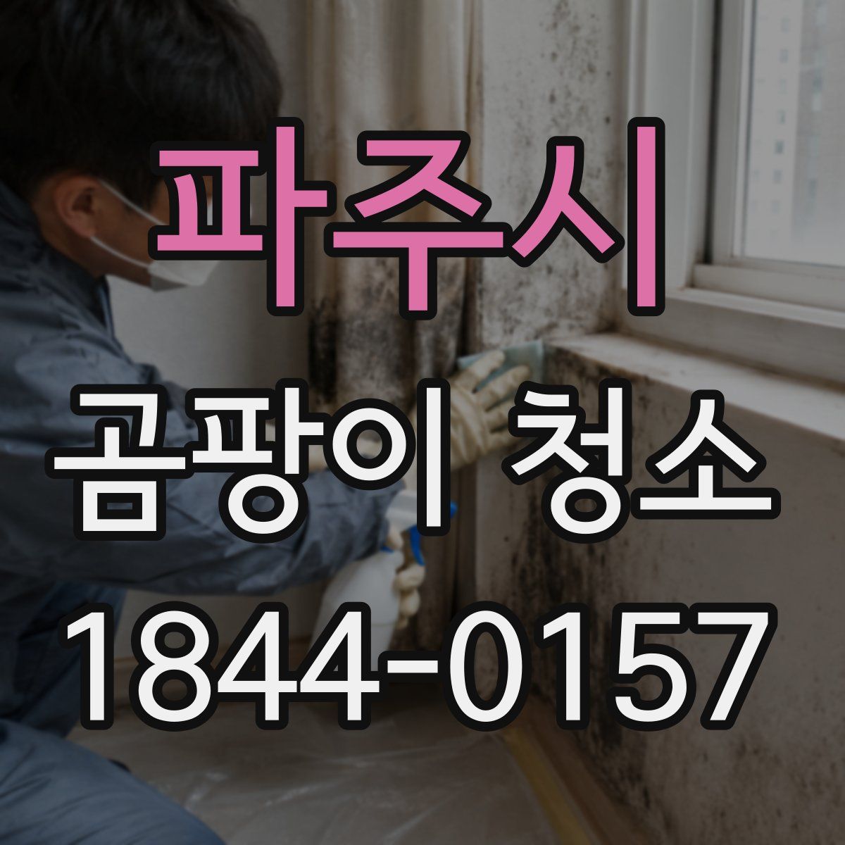 파주시 곰팡이 청소