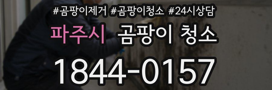 파주시 곰팡이 청소