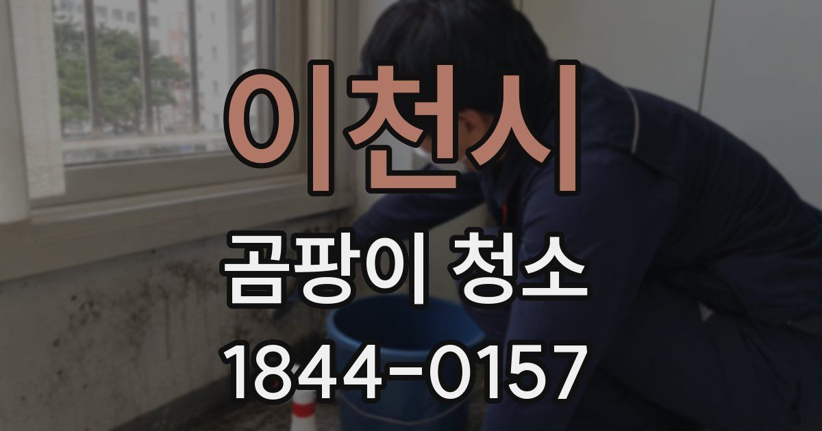 이천시 곰팡이 청소
