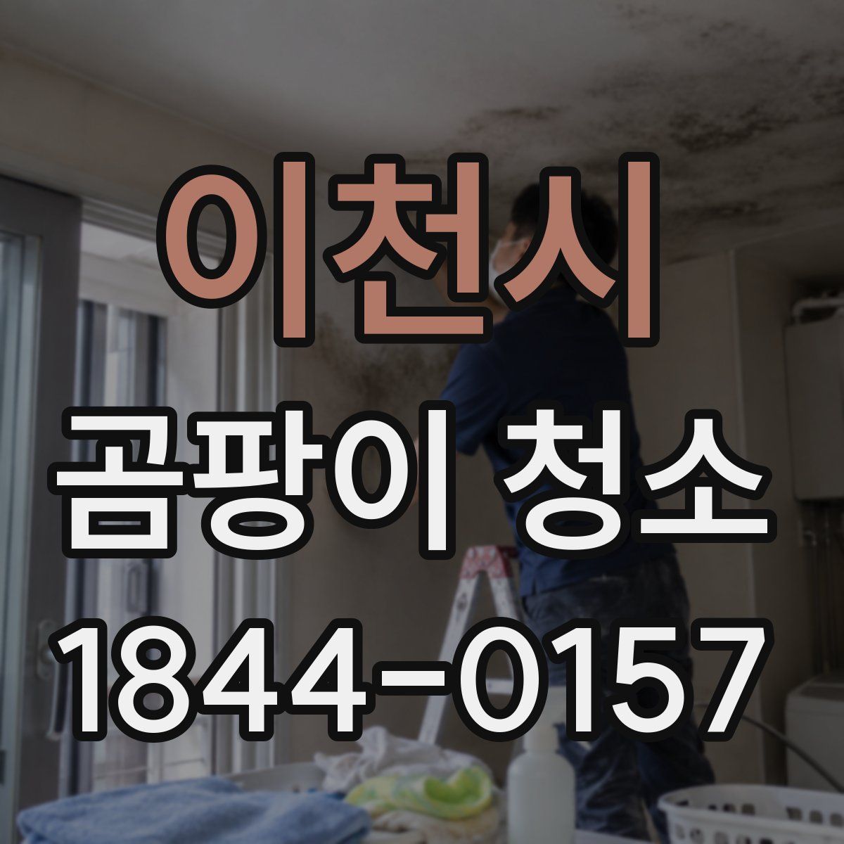 이천시 곰팡이 청소