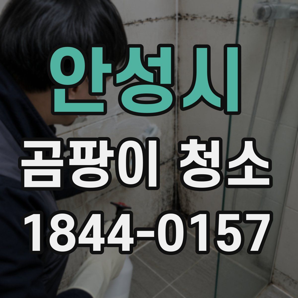 안성시 곰팡이 청소