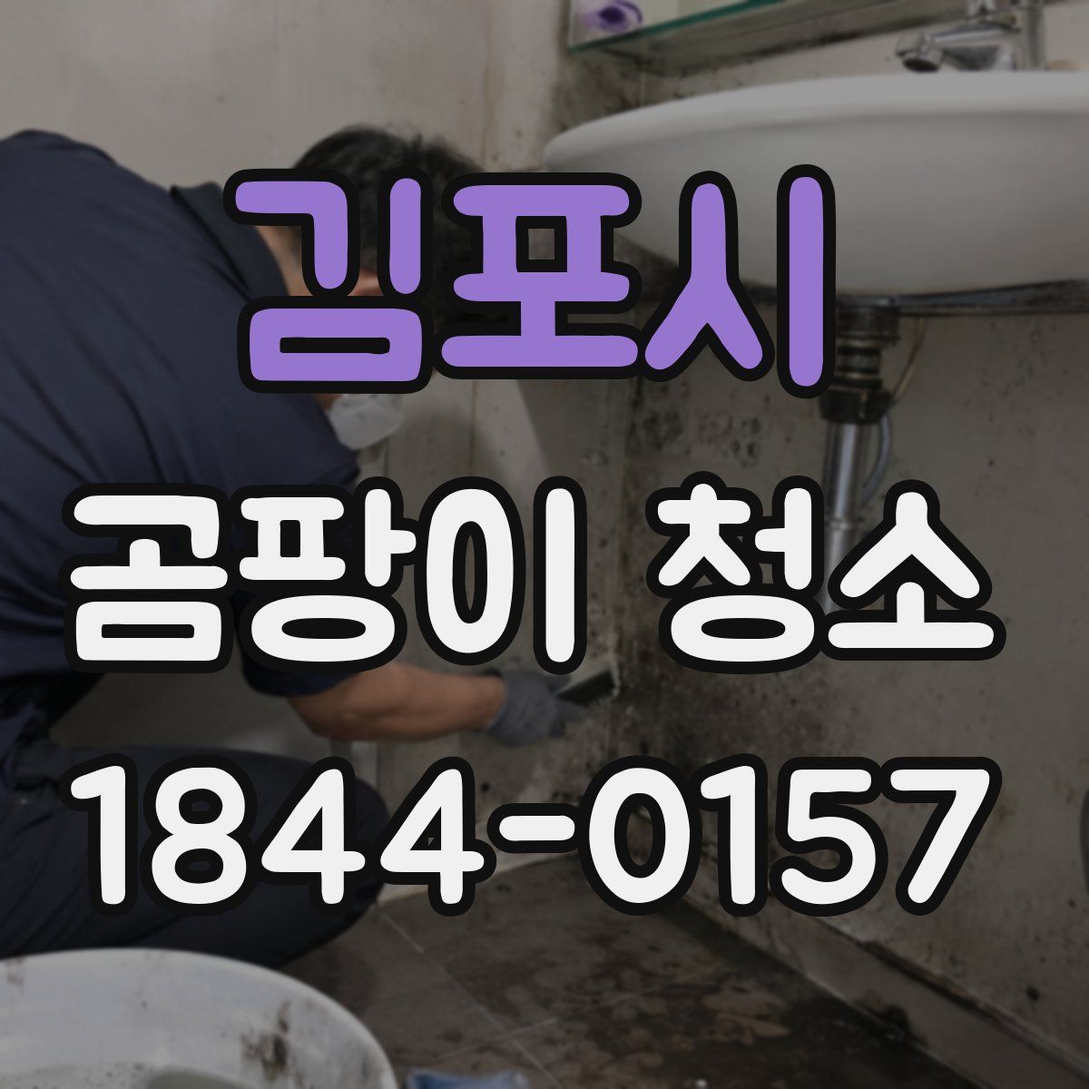 김포시 곰팡이 청소