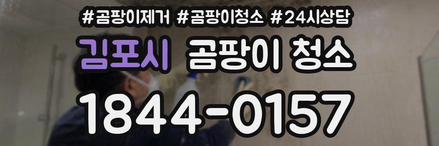 김포시 곰팡이 청소