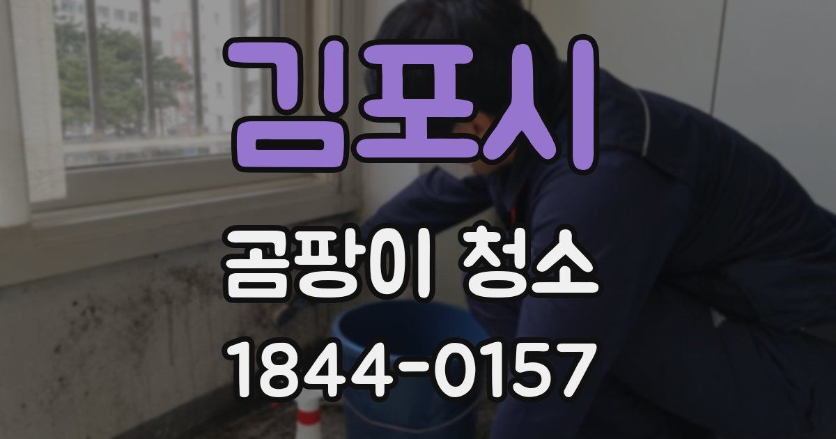 김포시 곰팡이 청소
