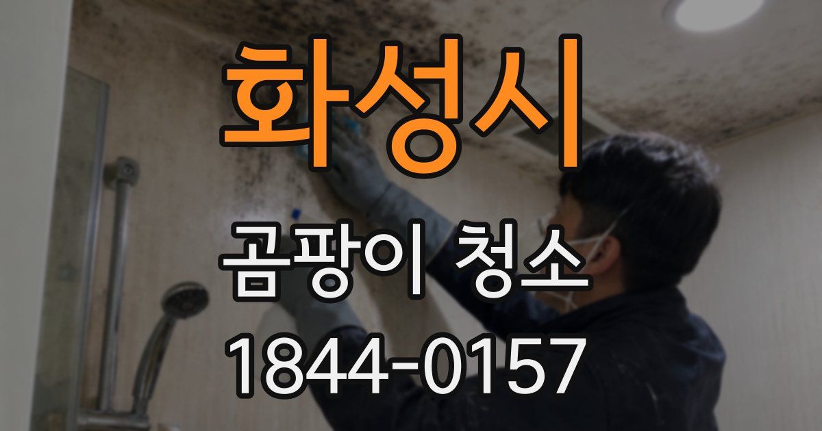 화성시 곰팡이 청소