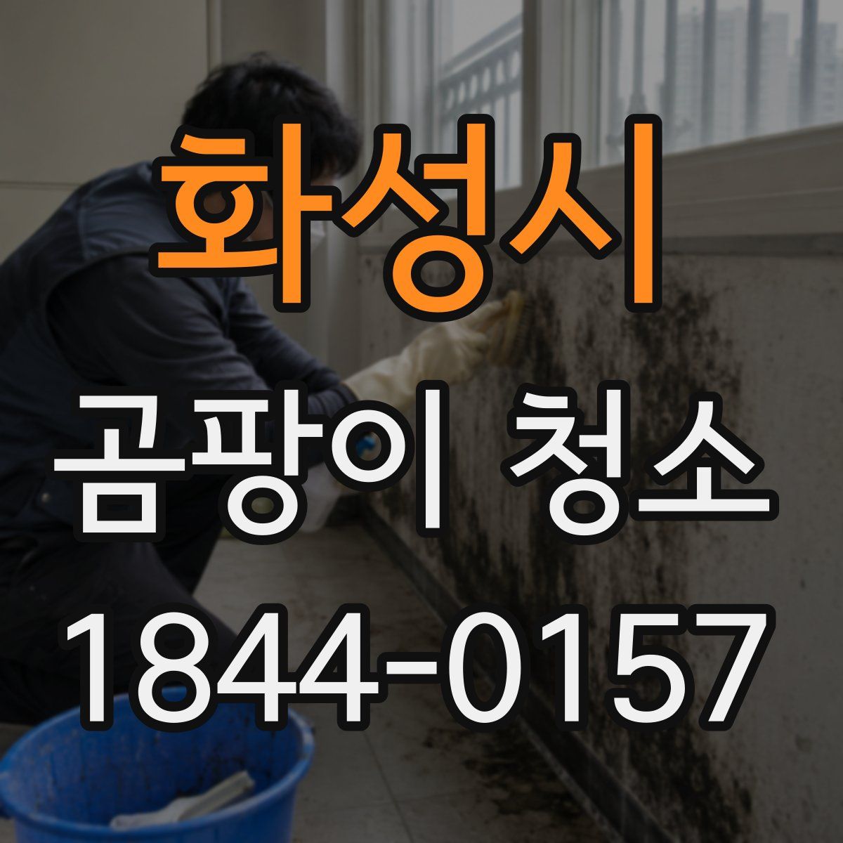 화성시 곰팡이 청소