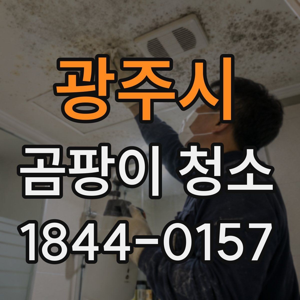 광주시 곰팡이 청소 아이방 벽지 오염을 다룰 때 피할 실수