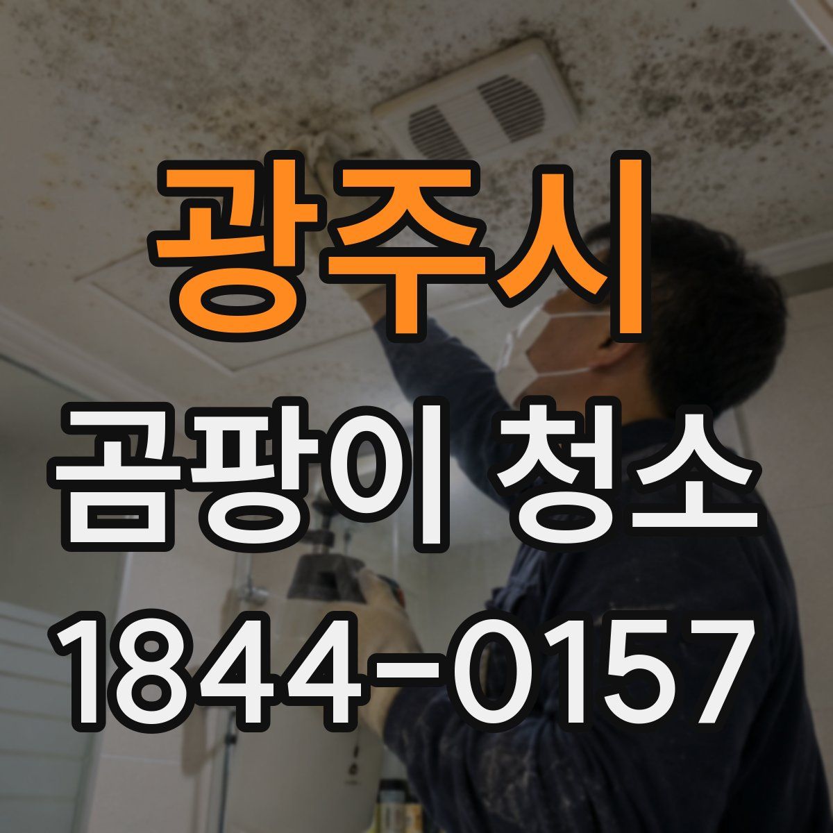 광주시 곰팡이 청소