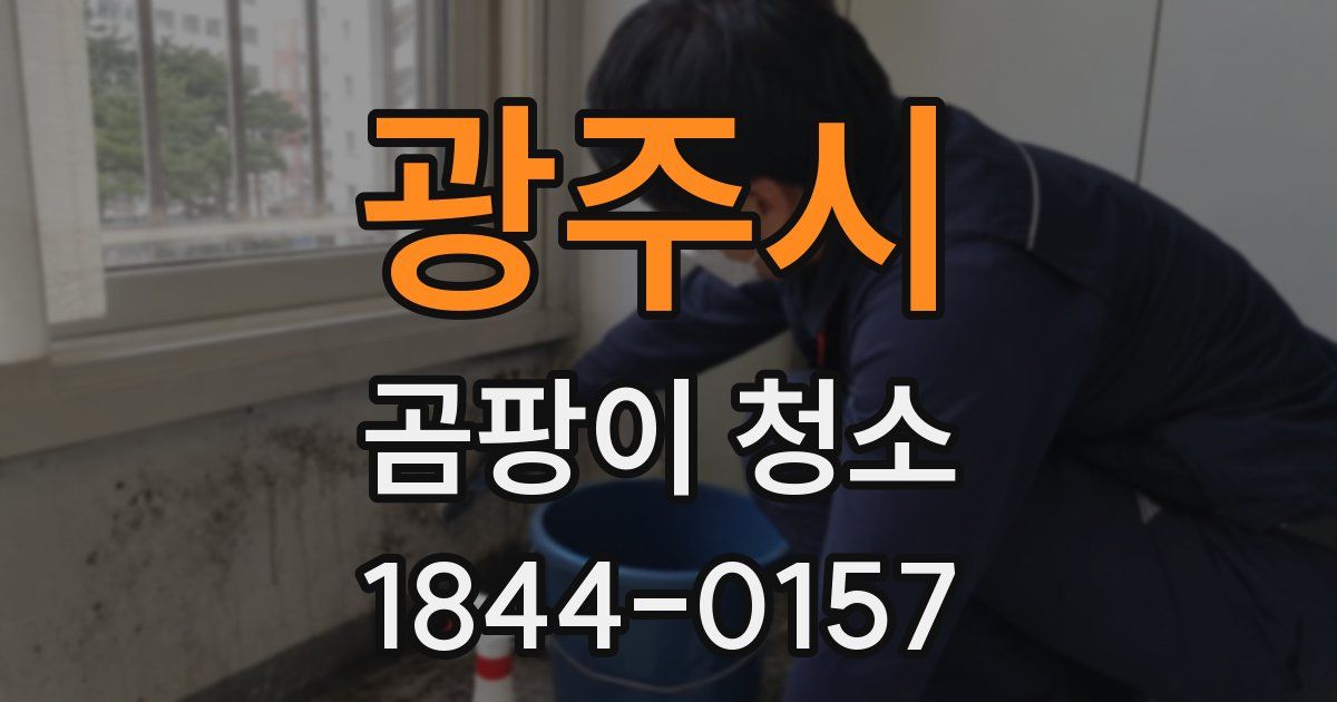 광주시 곰팡이 청소
