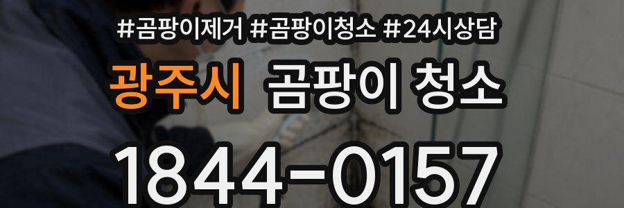 광주시 곰팡이 청소
