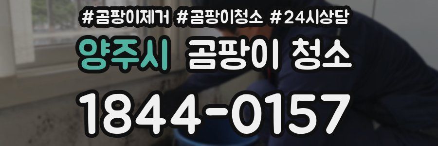 양주시 곰팡이 청소