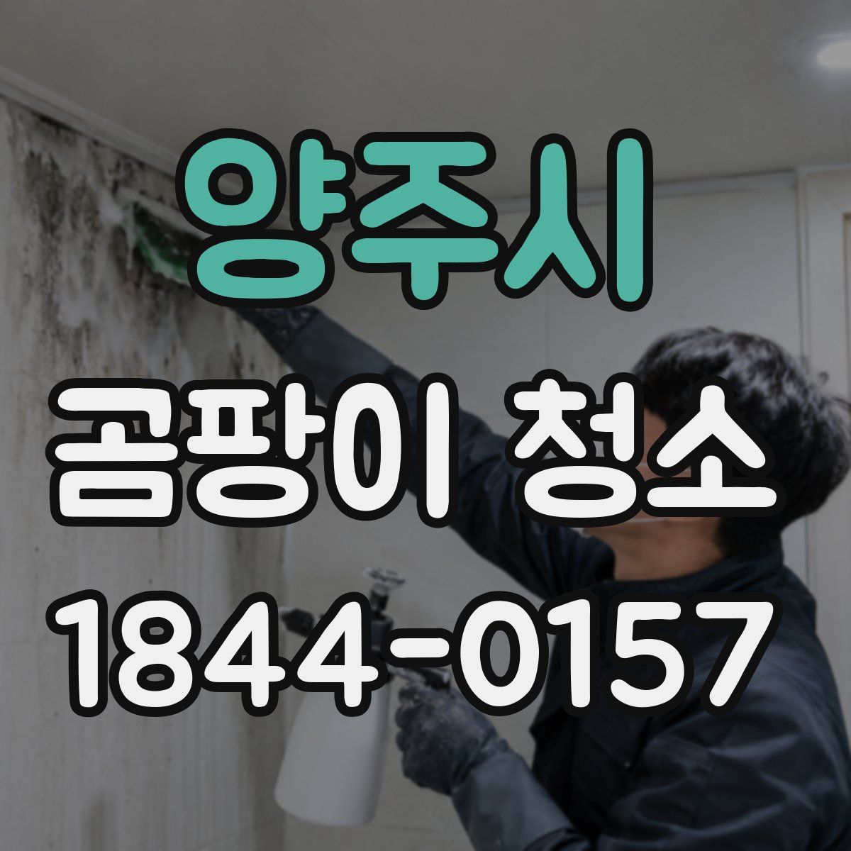 양주시 곰팡이 청소