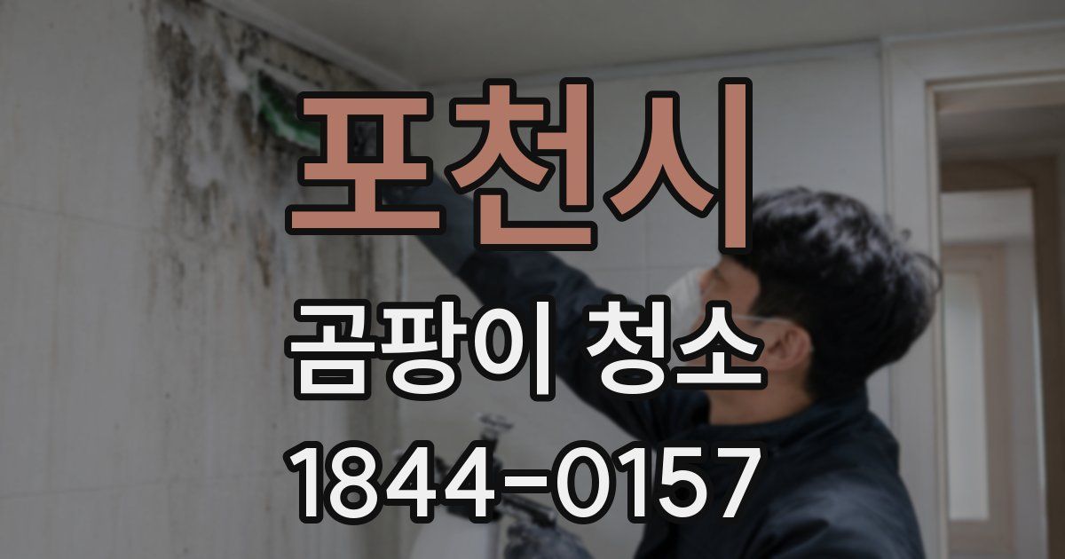포천시 곰팡이 청소