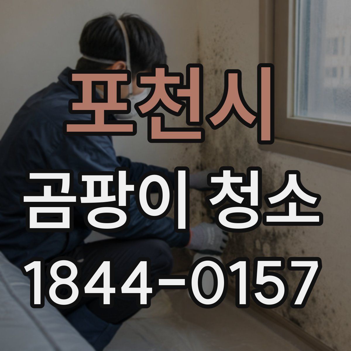포천시 곰팡이 청소