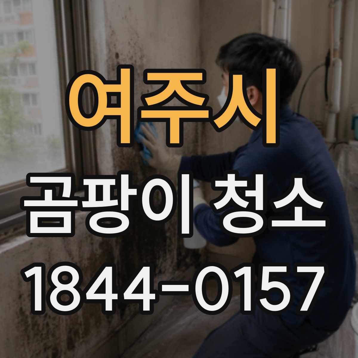 여주시 곰팡이 청소