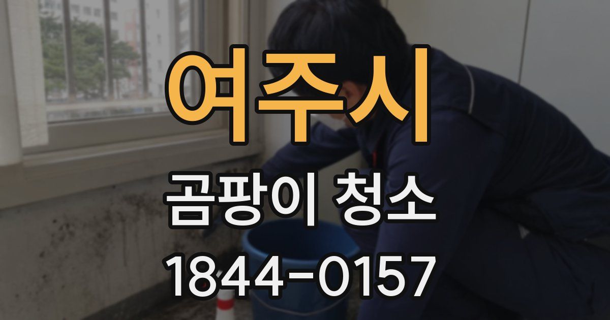여주시 곰팡이 청소