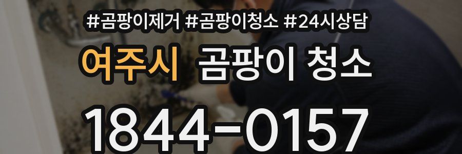 여주시 곰팡이 청소