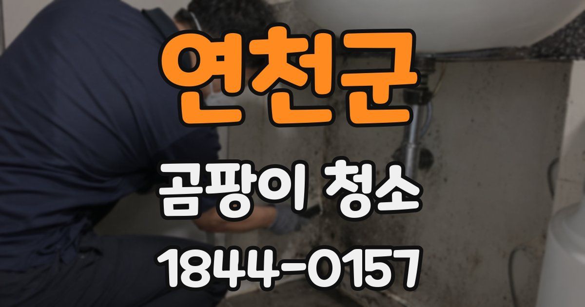 연천군 곰팡이 청소