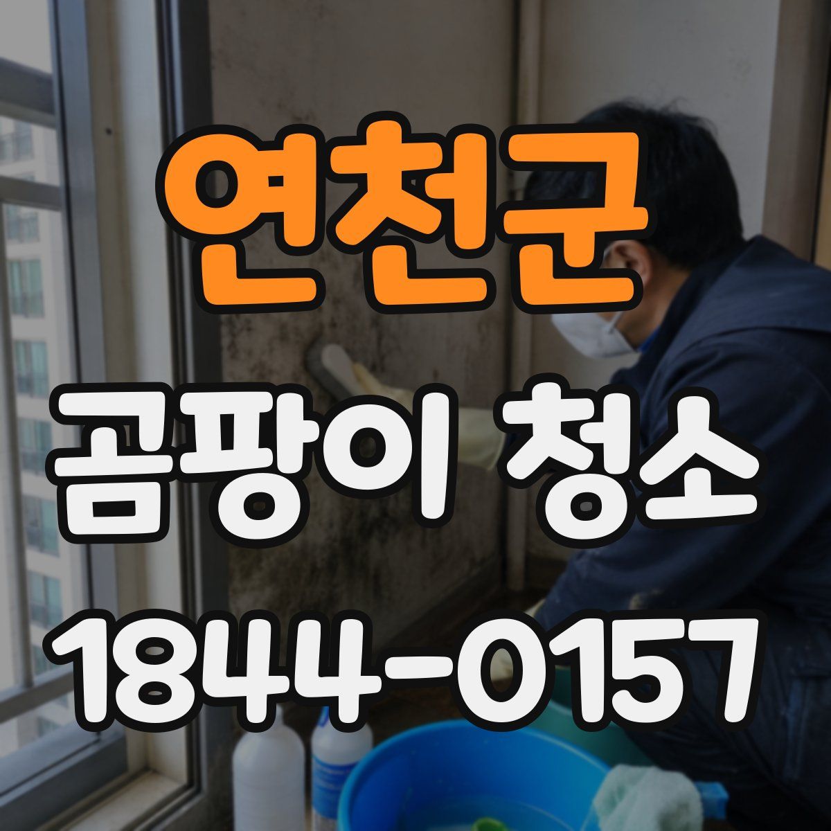 연천군 곰팡이 청소