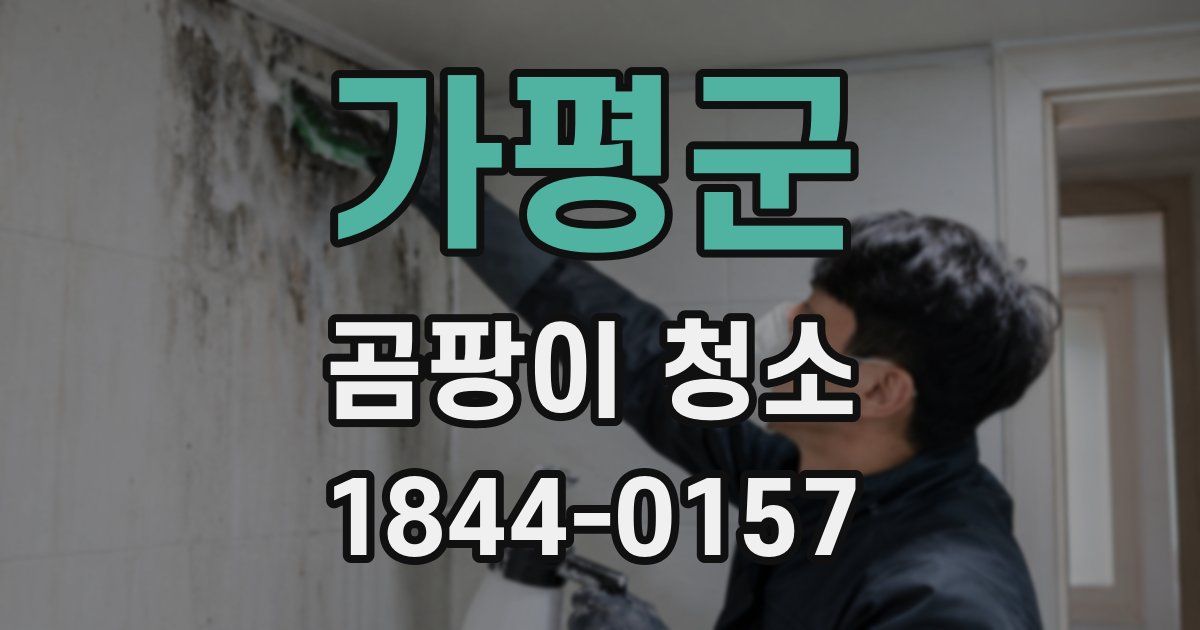 가평군 곰팡이 청소