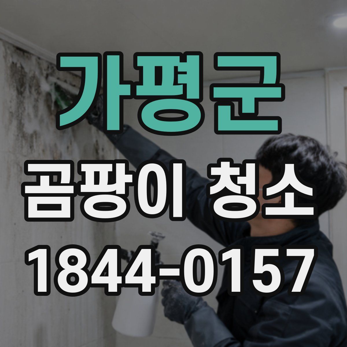 가평군 곰팡이 청소