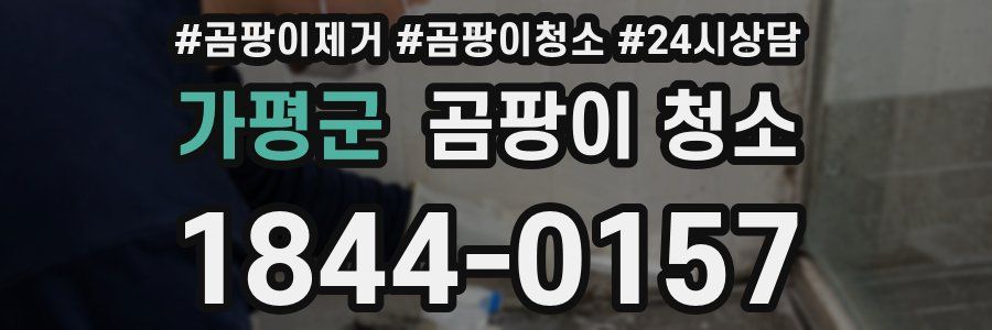 가평군 곰팡이 청소