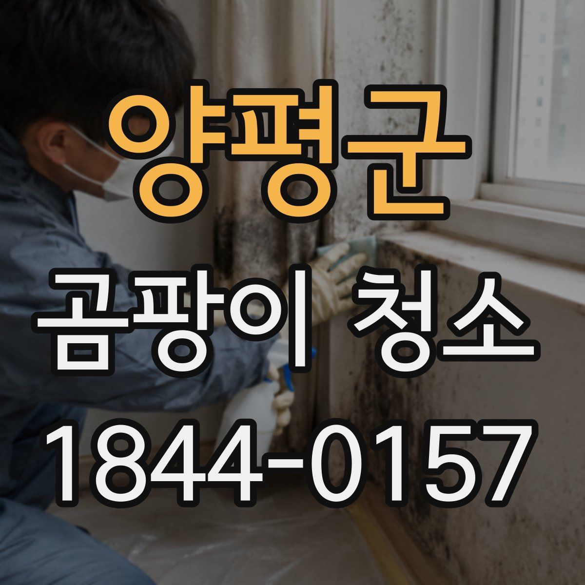 양평군 곰팡이 청소