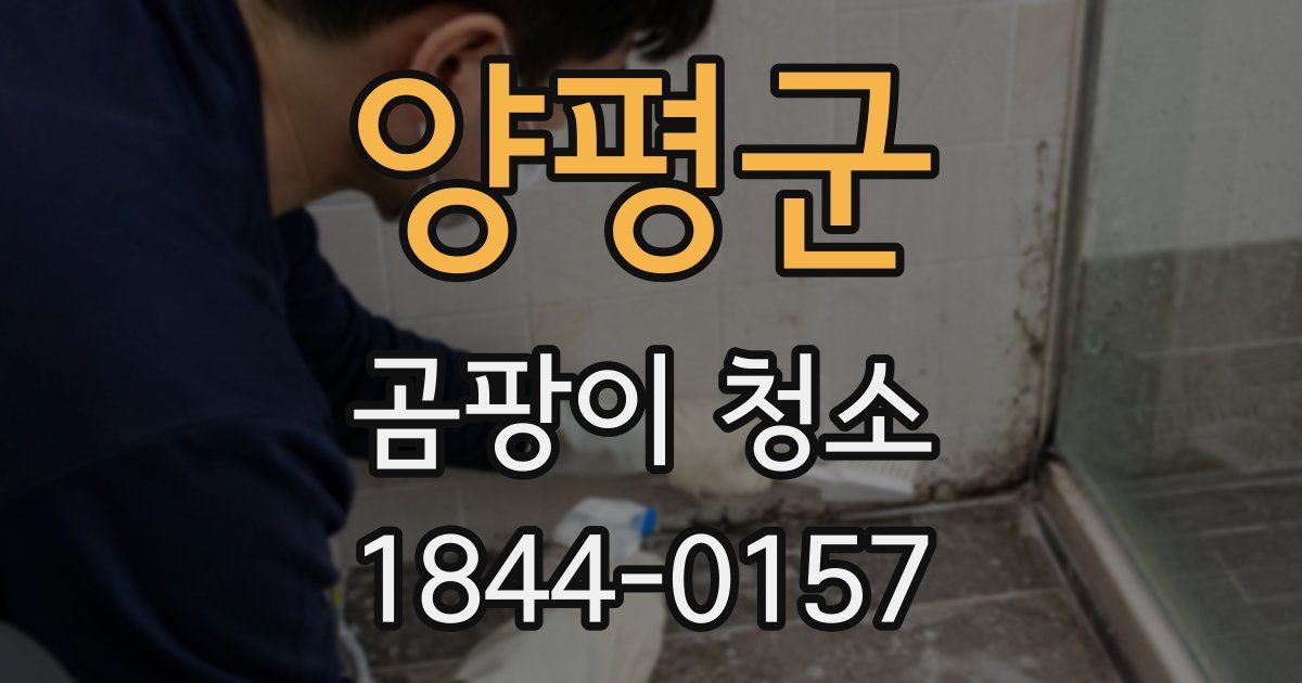 양평군 곰팡이 청소