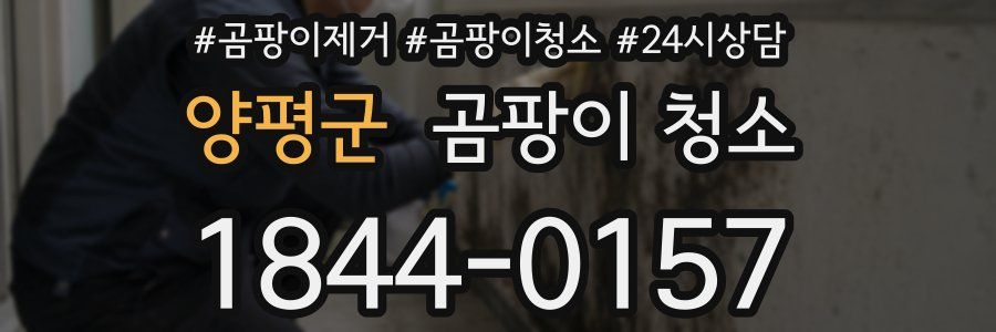 양평군 곰팡이 청소