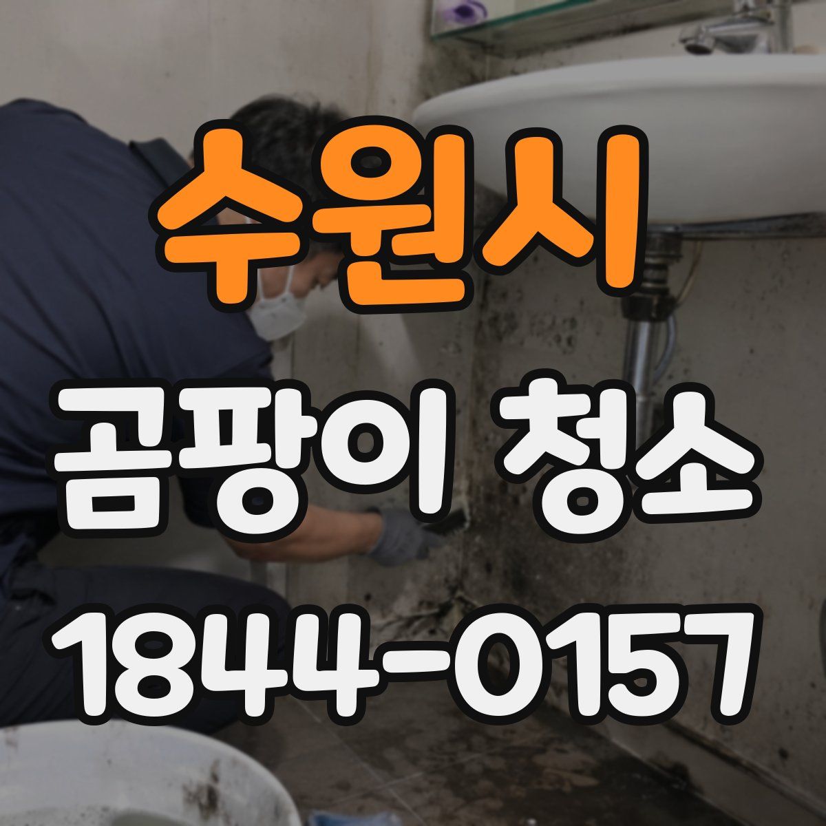 수원시 곰팡이 청소