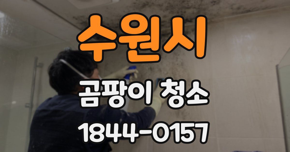 수원시 곰팡이 청소