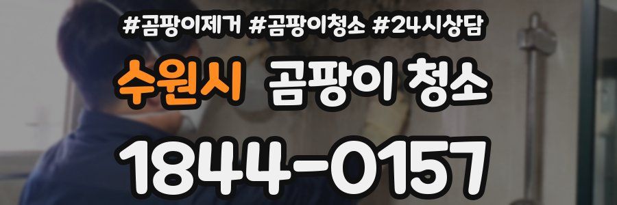 수원시 곰팡이 청소