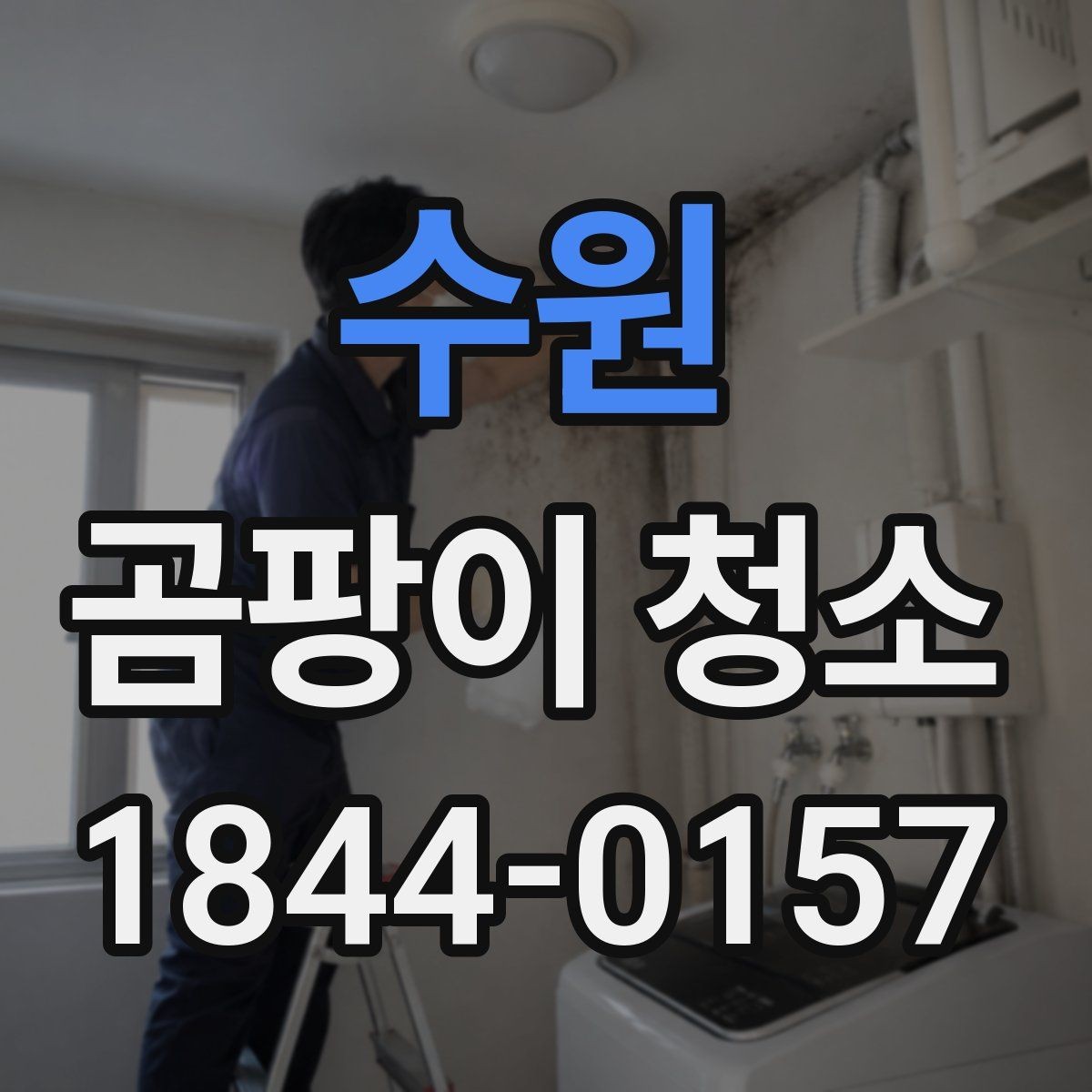 수원 곰팡이 청소 알레르기 걱정을 덜기 위한 환기와 마감 관리
